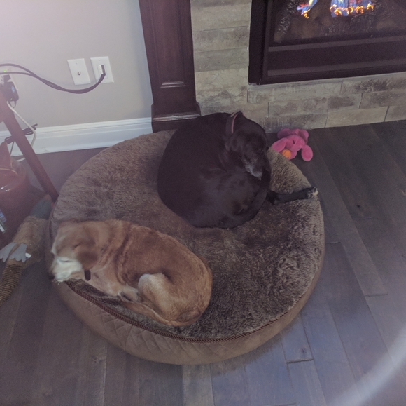 Meet your Posher, Meredith - Picture 1 of 1